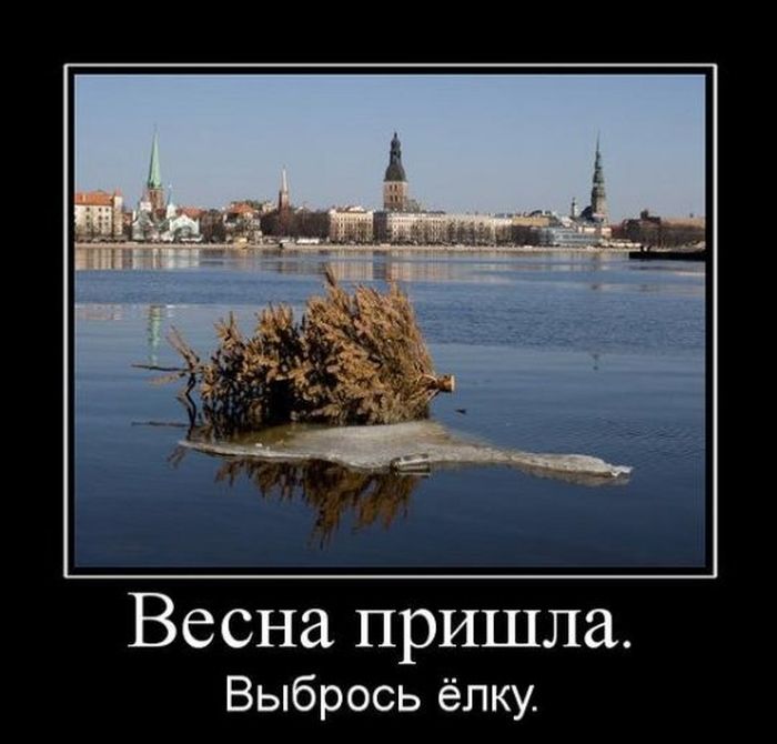 Весна пришла. Выбрось ёлку.