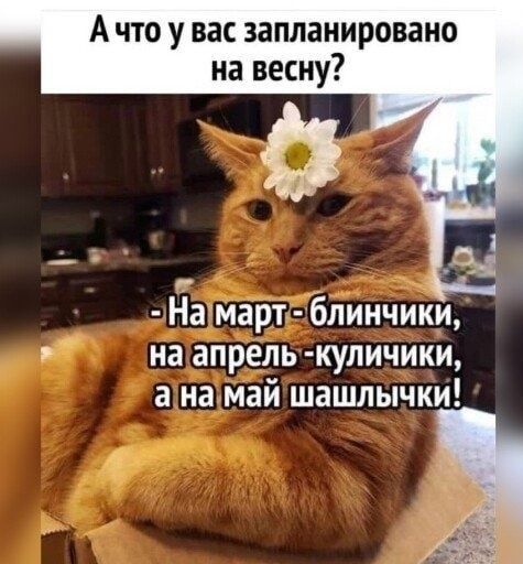 А что у вас запланировано на весну? - На март - блинчики, на апрель - куличики, а на май шашлычки!