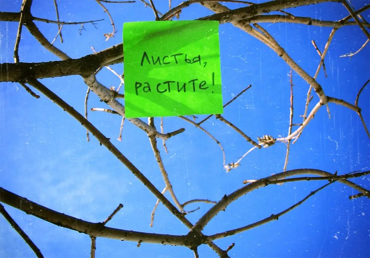 Листья, растите!
