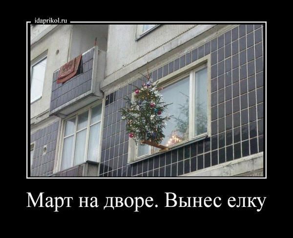 Март на дворе. Вынес елку