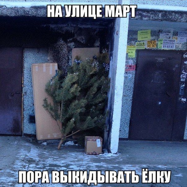 НА УЛИЦЕ МАРТ ПОРА ВЫКИДЫВАТЬ ЁЛКУ