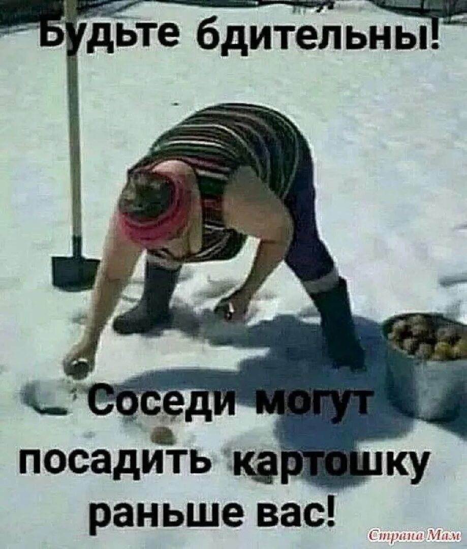 Будьте бдительны! Соседи могут посадить картошку раньше вас!