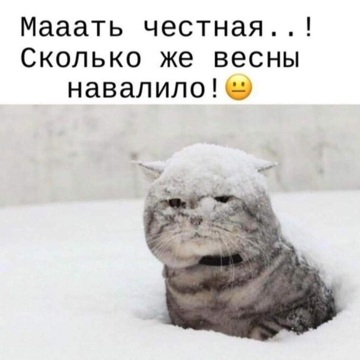Мaаать честная..! Сколько же весны навалило!