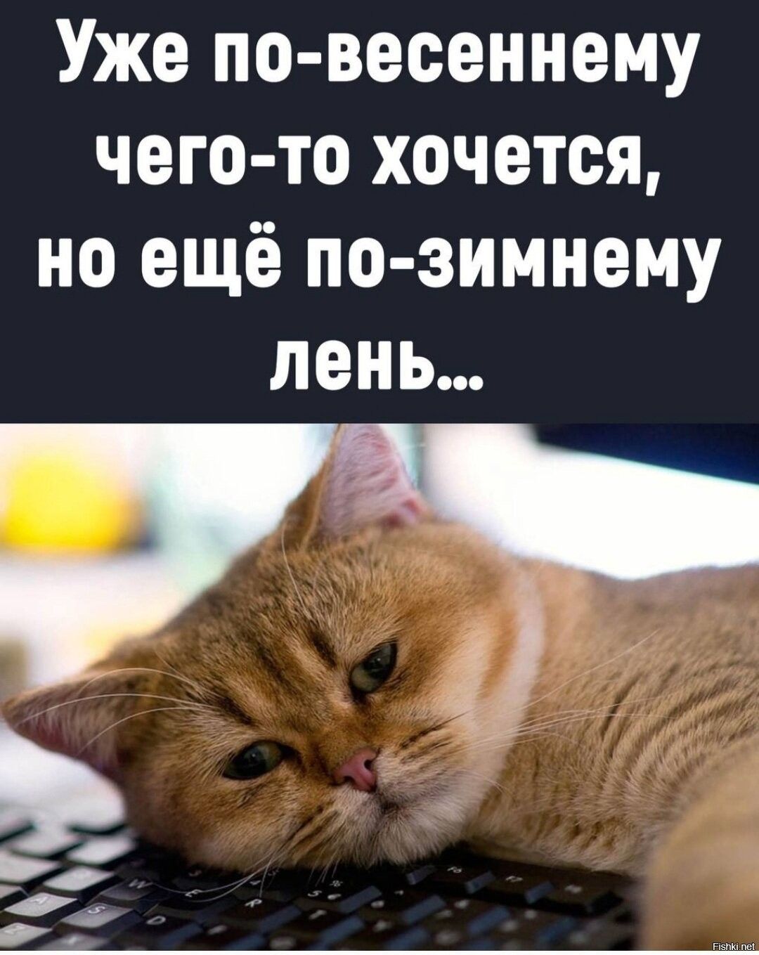 Уже по-весеннему чего-то хочется, но ещё по-зимнему лень...