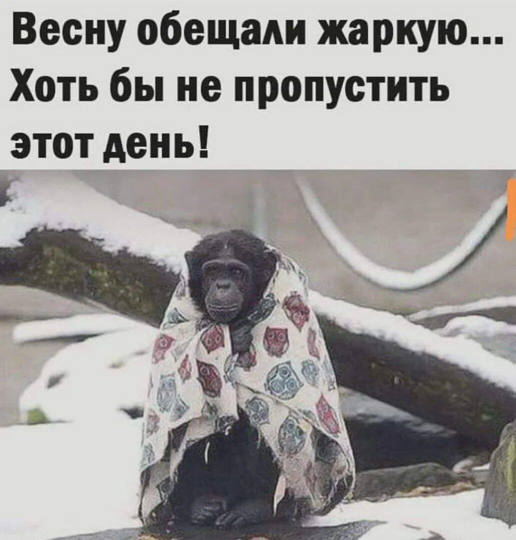 Весну обещали жаркую... Хоть бы не пропустить этот день!