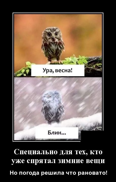 Ура, весна! Блин... Специально для тех, кто уже спрятал зимние вещи Но погода решила что рановато!