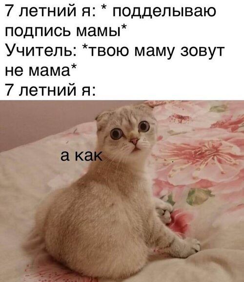 7 летний я: * подделываю подпись мамы* Учитель: *твою маму зовут не мама* 7 летний я: а как