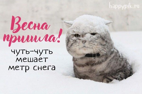 Весна пришла! чуть-чуть мешает метр снега