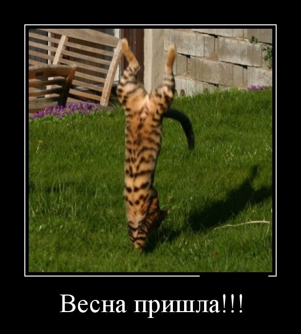 Весна пришла!!!