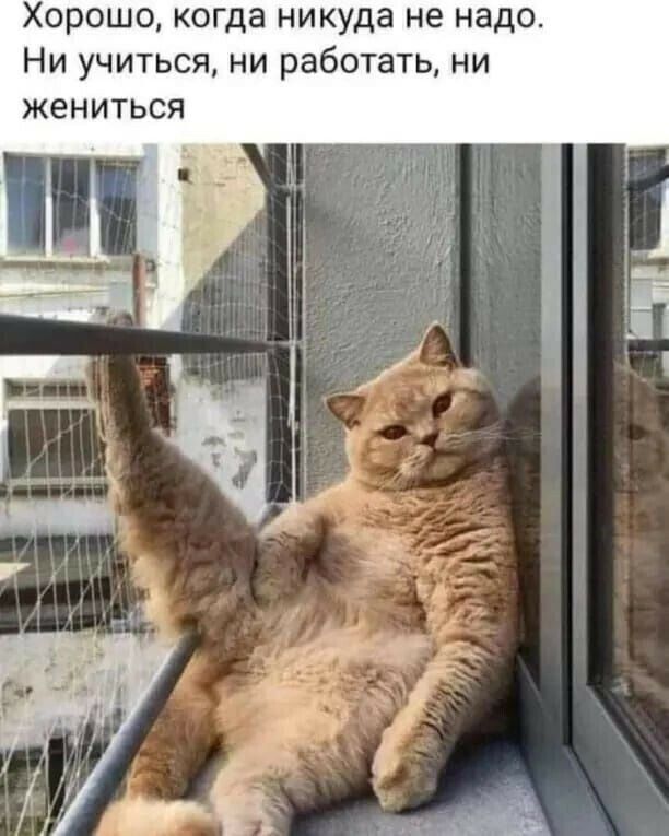 Хорошо, когда никуда не надо. Ни учиться, ни работать, ни жениться