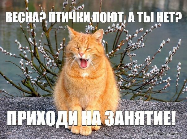 ВЕСНА? ПТИЧКИ ПОЮТ, А ТЫ НЕТ? ПРИХОДИ НА ЗАНЯТИЕ!