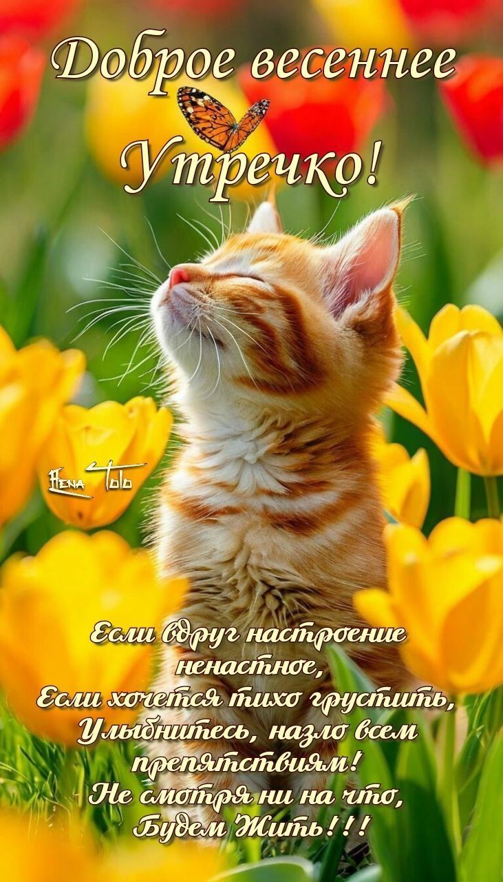 Доброе весеннее утречко! Если вдруг настроение ненастное, Если хочешь тихо грустить, улыбнитесь, назло всем препятствиям! Не смотря ни на что, будем жить!!!