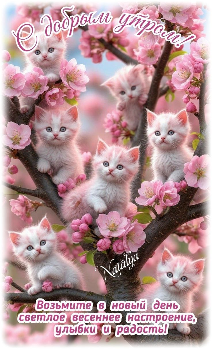 С добрым утром! Возьмите в новый день светлое весеннее настроение, улыбки и радость!