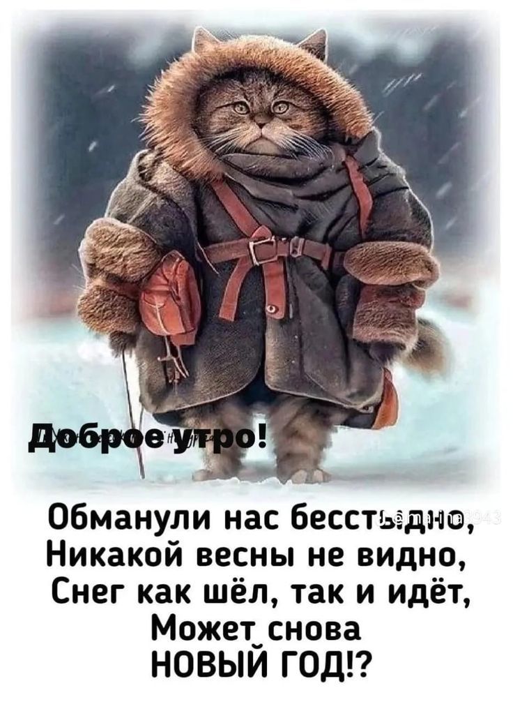 Доброе утро! Никакой весны не видно, Снег как шёл, так и идёт, Может снова НОВЫЙ ГОД!?