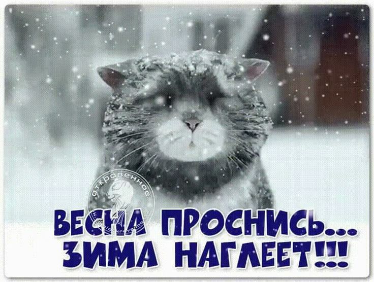 ВЕСНА ПРОСНИСЬ... ЗИМА НАГЛЕЕТ!!!