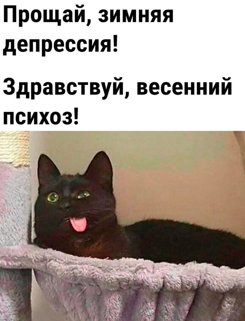 Прощай, зимняя депрессия! Здравствуй, весенний психоз!