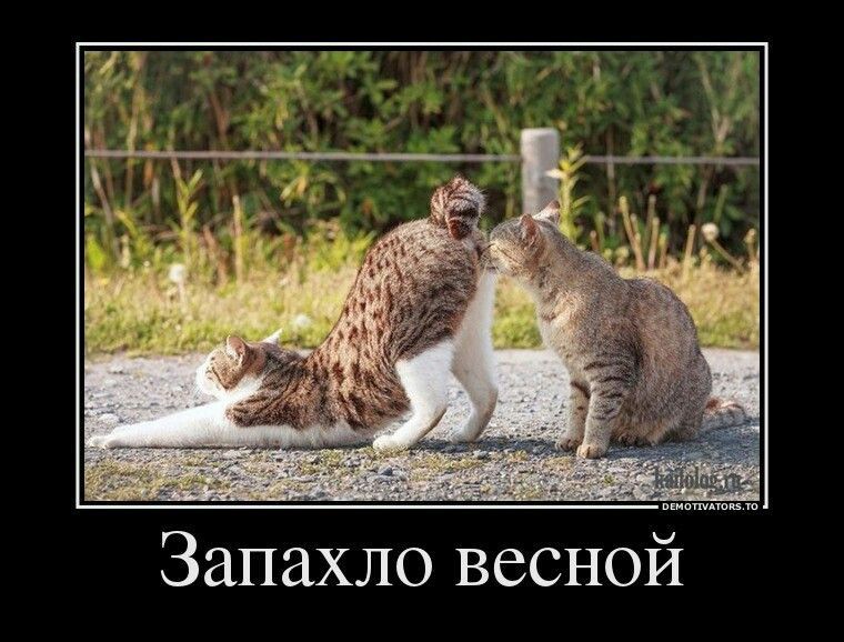 Запахло весной