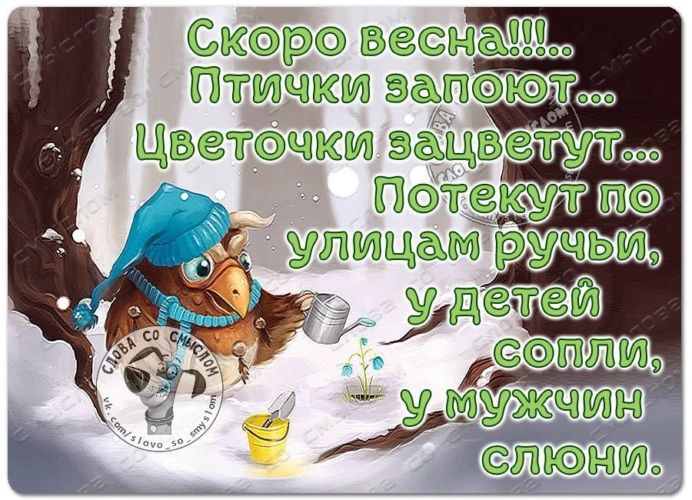 Скоро весна!!! Птички запоют... Цветочки зацветут... Потекут по улицам ручьи, у детей сопли, у мужчин слюни.