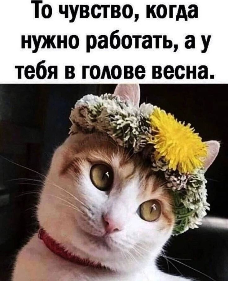 То чувство, когда нужно работать, а у тебя в голове весна.