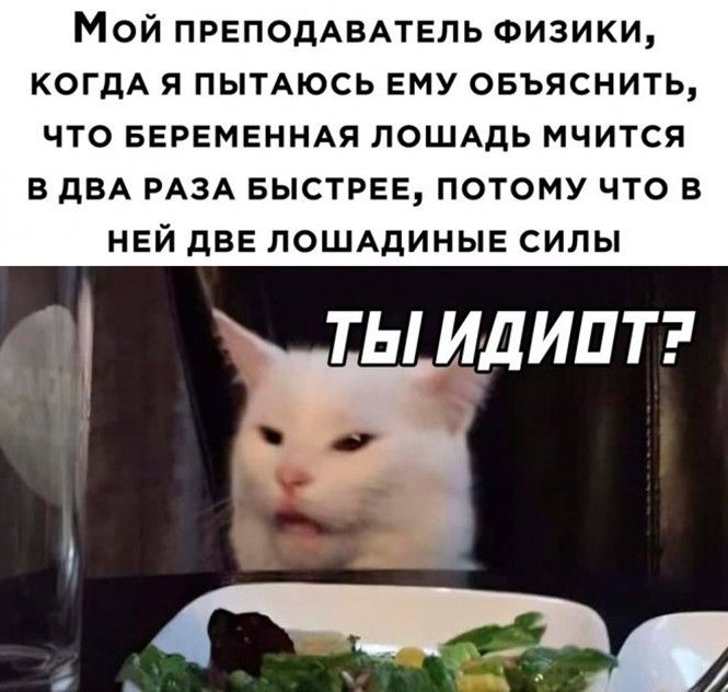 Мой преподаватель физики, когда я пытаюсь ему объяснить, что беременная лошадь мчится в два раза быстрее, потому что в ней две лошадины силы
ТЫ ИДИОТ?