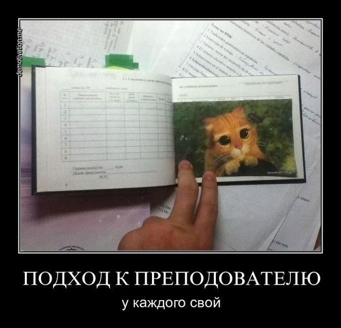ПОДХОД К ПРЕПОДОВАТЕЛЮ у каждого свой