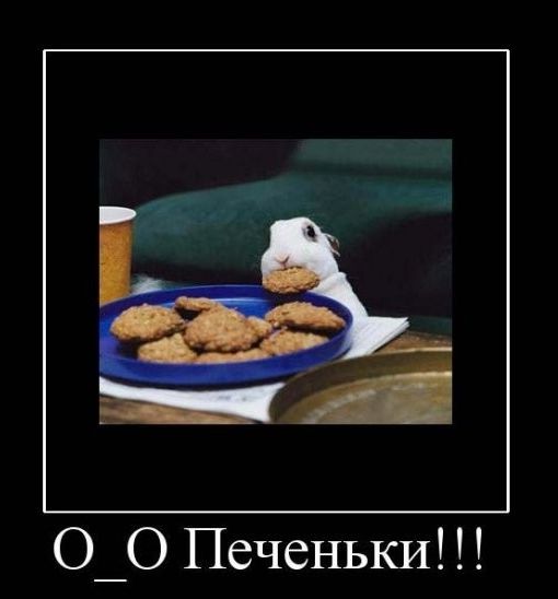 О_О Печеньки!!!
