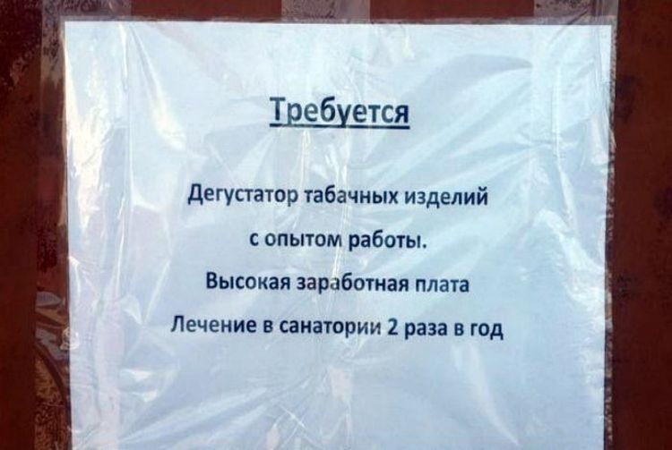 Требуется\nДегустатор табачных изделий с опытом работы.\nВысокая заработная плата\nЛечение в санатории 2 раза в год