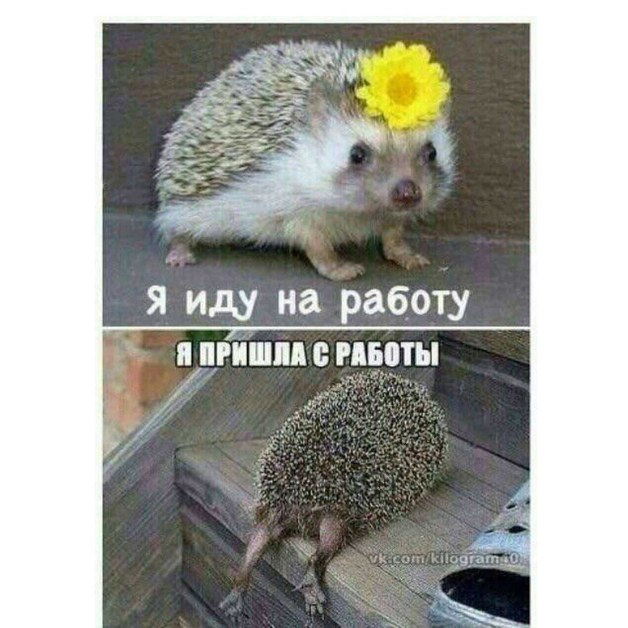 Я иду на работу
Я пришла с работы