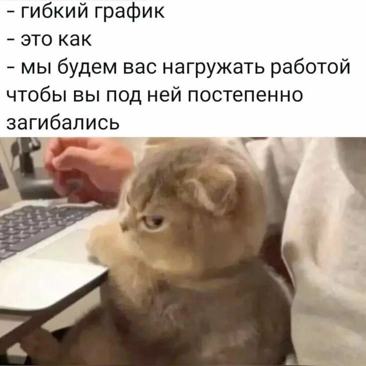 - гибкий график
- это как
- мы будем вас нагружать работой чтобы вы под ней постепенно загибались