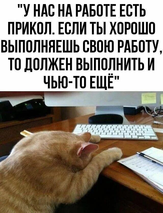У нас на работе есть прикол. Если ты хорошо выполняешь свою работу, то должен выполнить и чью-то ещё