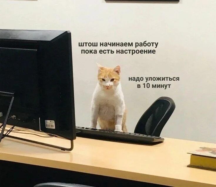 штoш начинаем работу пока есть настроение надо уложиться в 10 минут