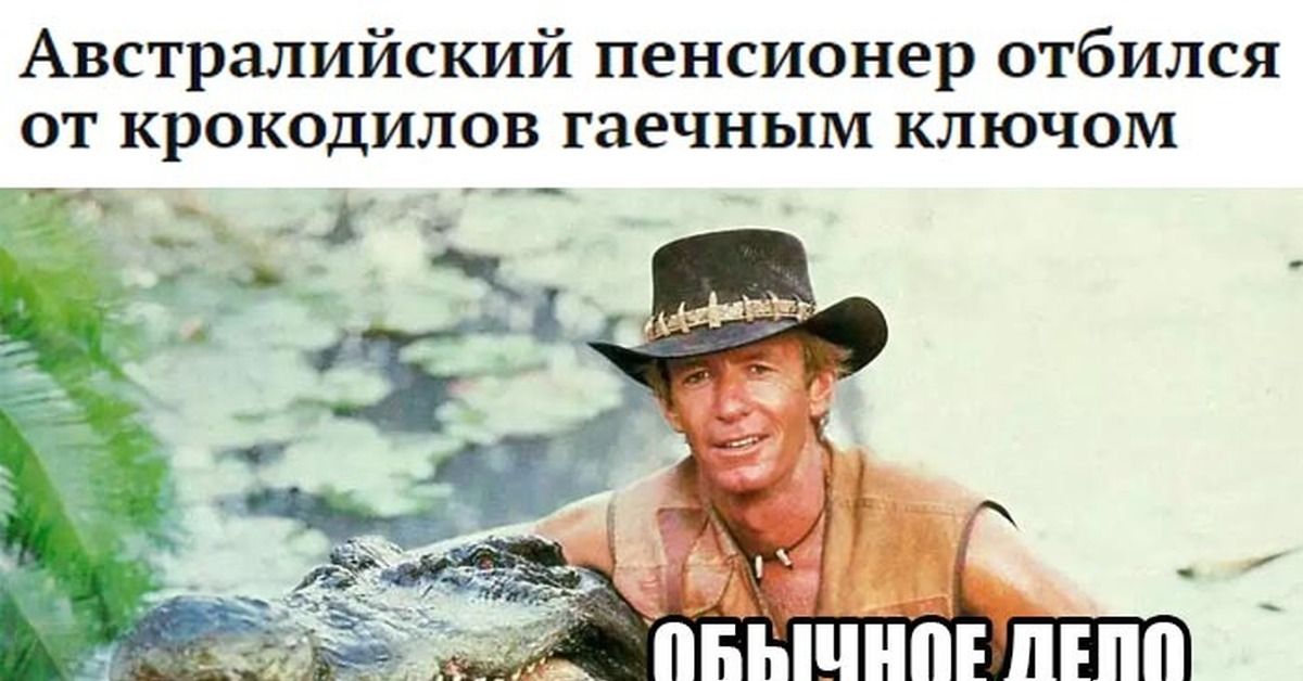 Австралийский пенсионер отболился от крокодилов гаечным ключом
ОБЫЧНОЕ ДЕЛО