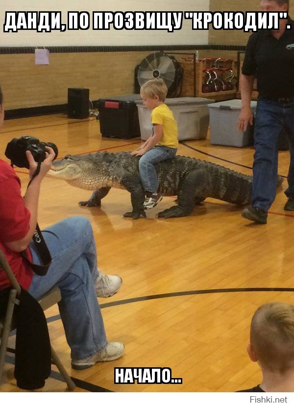 ДАНДИ, ПО ПРОЗВИЩУ 