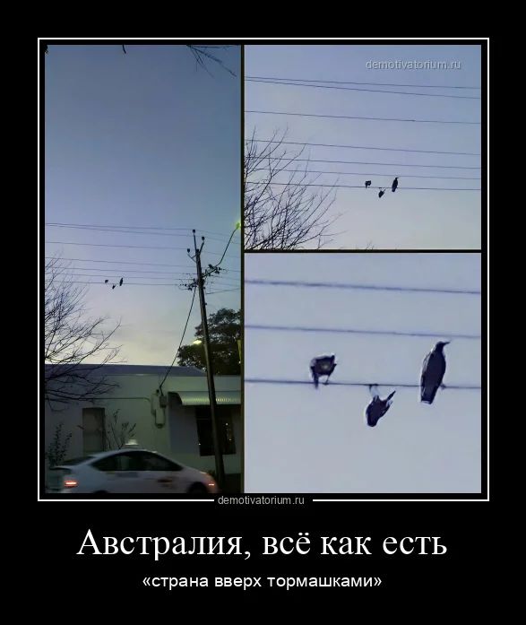 Австралия, всё как есть\n«страна вверх тормашками»