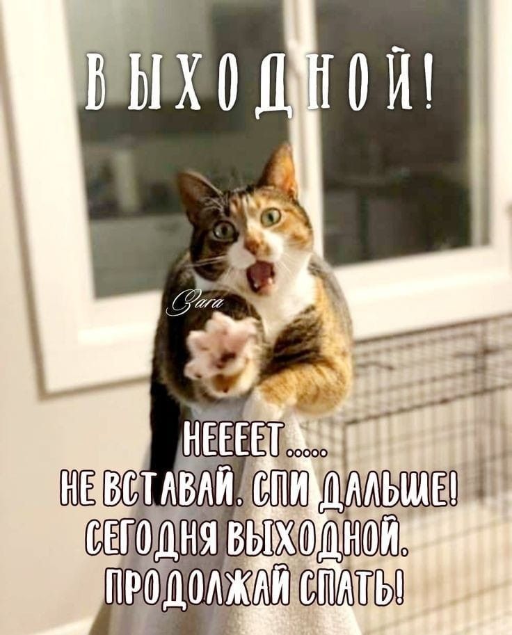 ВЫХОДНОЙ! HEEEET ...... НЕ ВСТАВАЙ. СПИ ДАЛЬШЕ! СЕГОДНЯ ВЫХОДНОЙ ПРОДОЛЖАЙ СПАТЬ!