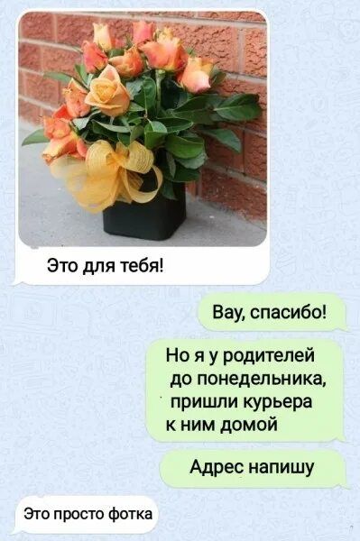 Это для тебя! Вау, спасибо! Но я у родителей до понедельника, пришли курьера к ним домой. Адрес напишу. Это просто фотка