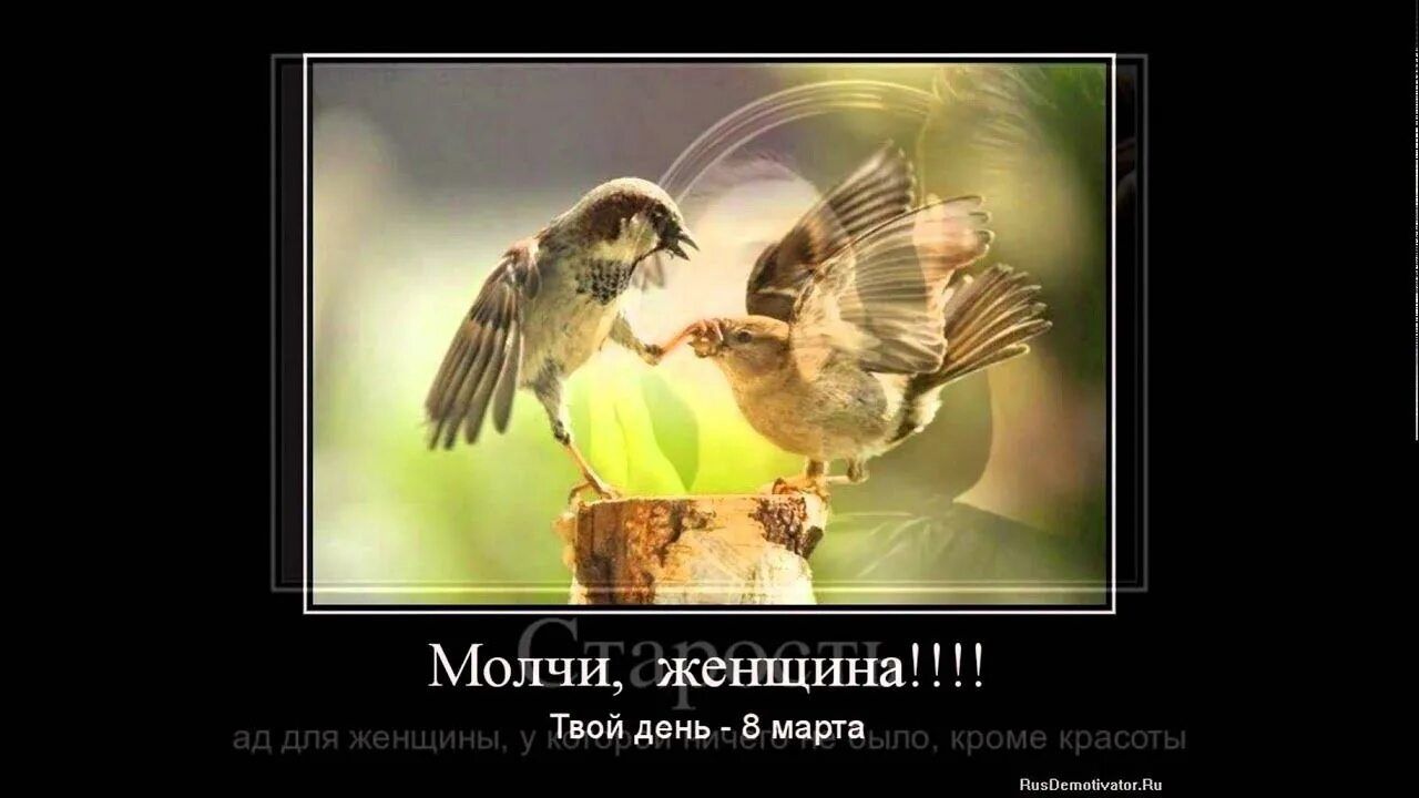 Молчи, женщина!!!!\nТвой день. - 8 март