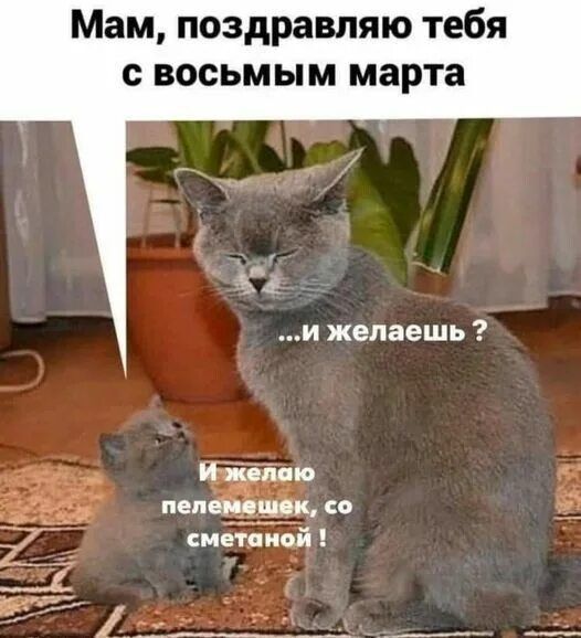 Мам, поздравляю тебя с восьмым марта ... и желаешь ? И желаю пельмешек, со сметаной!