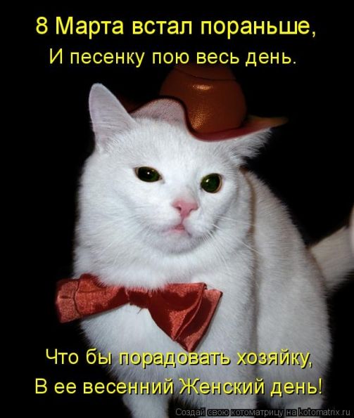8 Марта встал пораньше, И песенку пою весь день. Что бы порадовать хозяйку, В ее весенний Женский день!