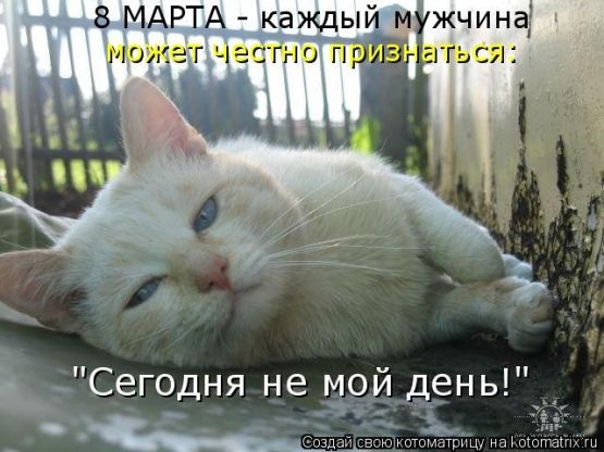 8 МАРТА - каждый мужчина может честно признаваться!\n