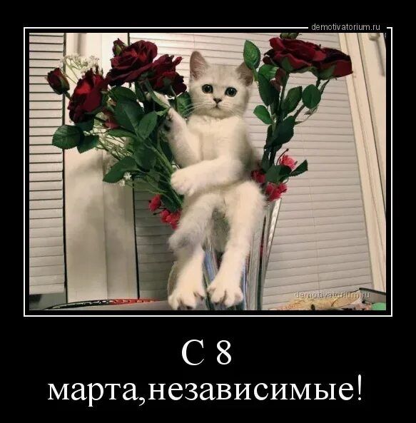 С 8 марта, независимые!