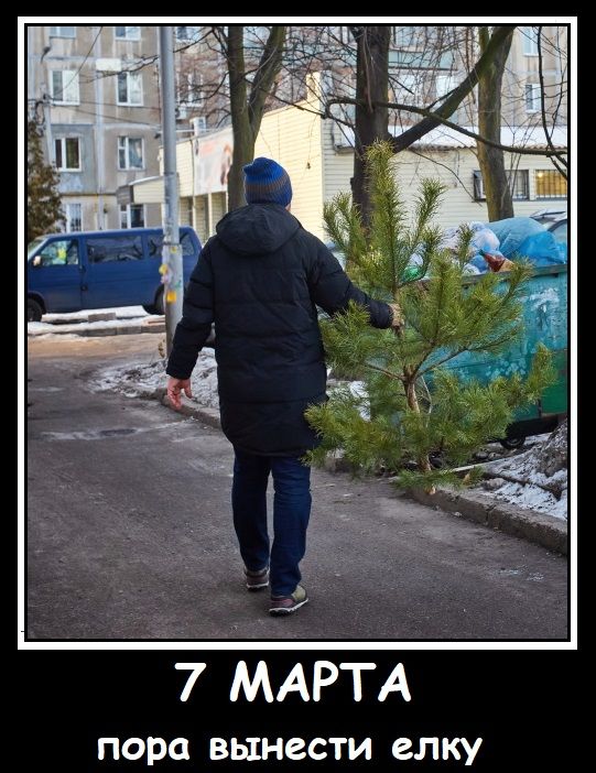 7 МАРТА пора вынести елку