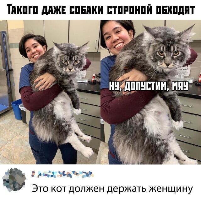 Такого даже собаки сторонной обходят. Ну, допустим, мяя. Это кот должен держать женщину