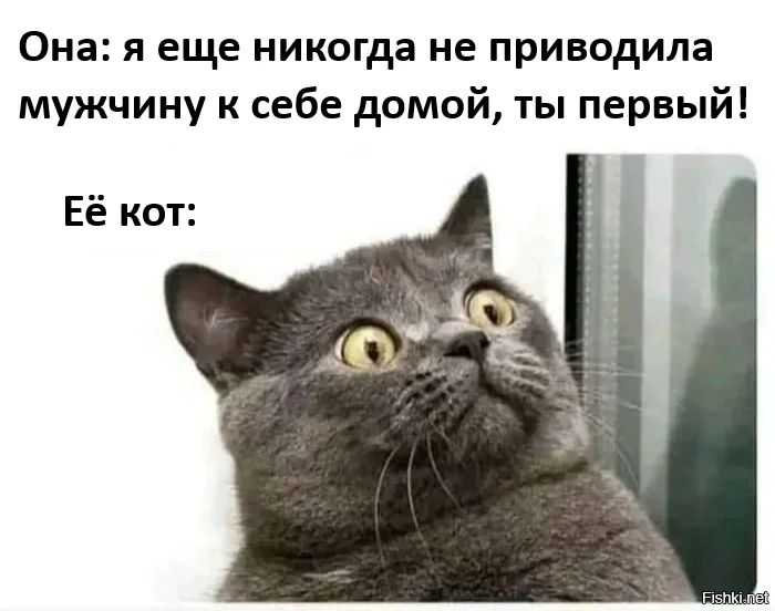 Она: я еще никогда не приводила мужчину к себе домой, ты первый!\nЕё кот: