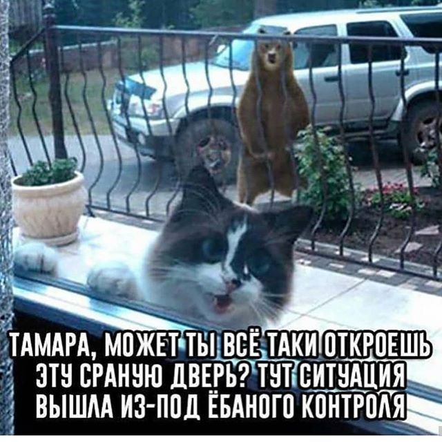 ТАМАРА, МОЖЕТ ТЫ ВСЁ ТАКО ОТКРОЕШЬ ЭТУ СРАННУЮ ДВЕРЬ? ТУТ СИТУАЦИЯ ВЫШЛА ИЗ-ПОД ЁБАНГО КОНТРОЛЯ
