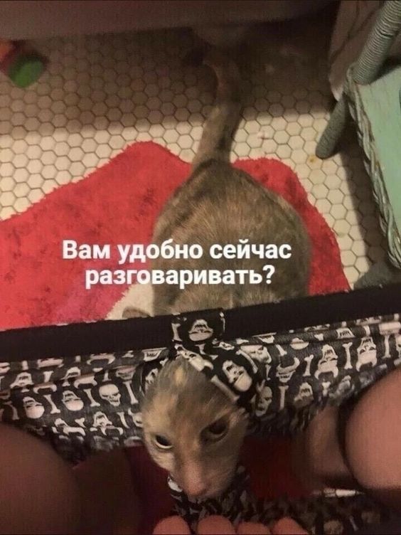 Вам удобно сейчас разговаривать?