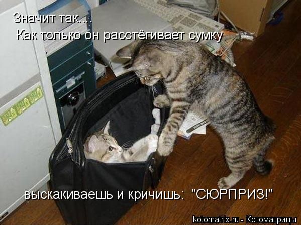 Знаит так... Как только он расстегивает сумку выскакиваешь и кричишь: 'СЮРПРИЗ!'
