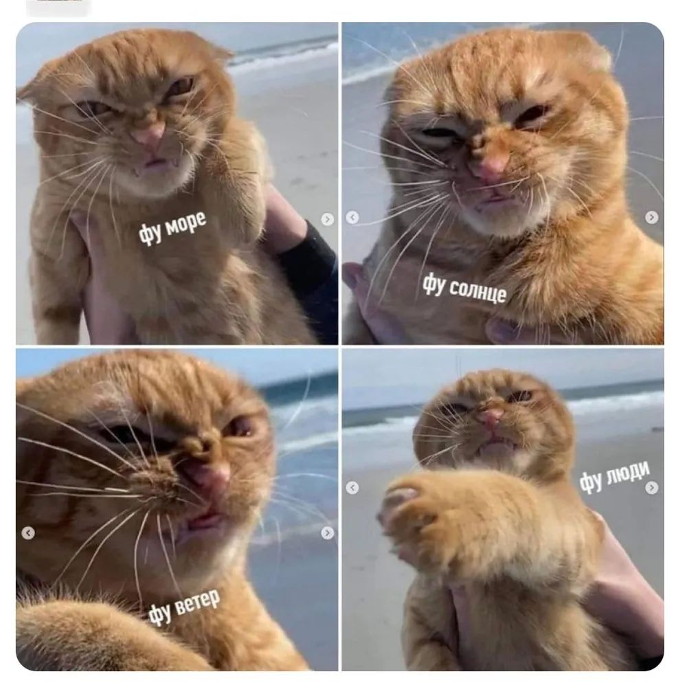 фу море; фу солнце; фу ветер; фу люди