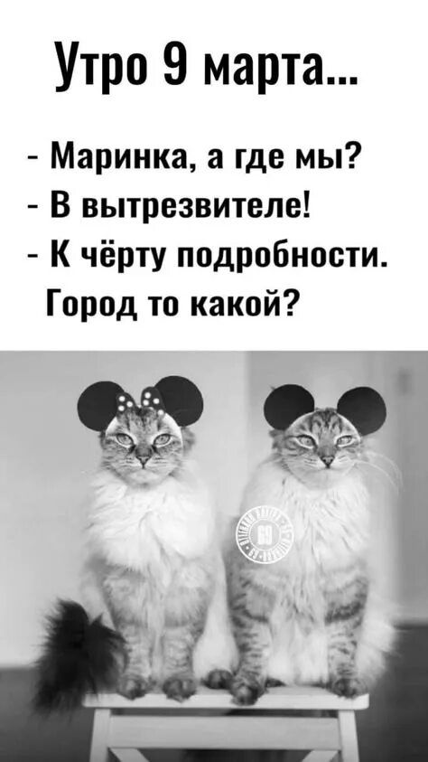 Утро 9 марта...\n- Маринка, а где мы?\n- В вытрезвителе!\n- К чёрту подробности.\nГород то какой?