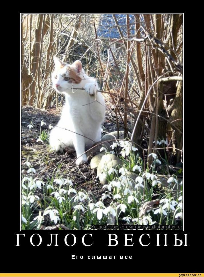 ГОЛОС ВЕСНЫ
Его слышат все